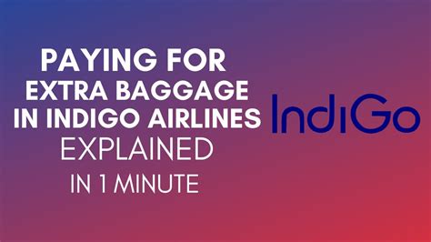 indigo excess baggage payment